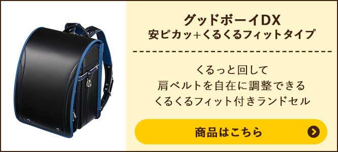 グッドボーイDX 安ピカッ＋くるくるフィットタイプの商品ページへ