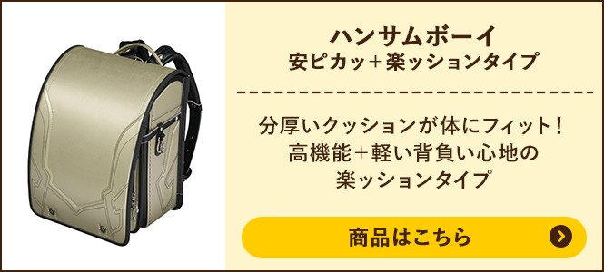 ハンサムボーイDX 安ピカッ+楽ッションタイプの商品ページへ