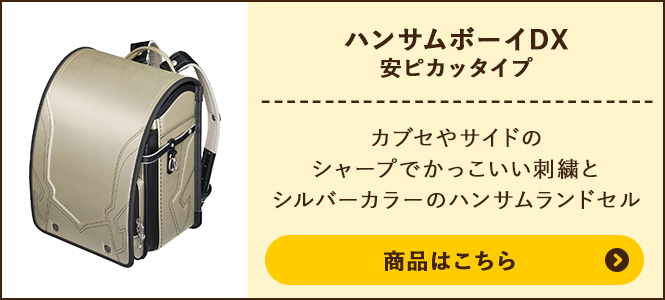 ハンサムボーイDX 安ピカッタイプの商品ページへ