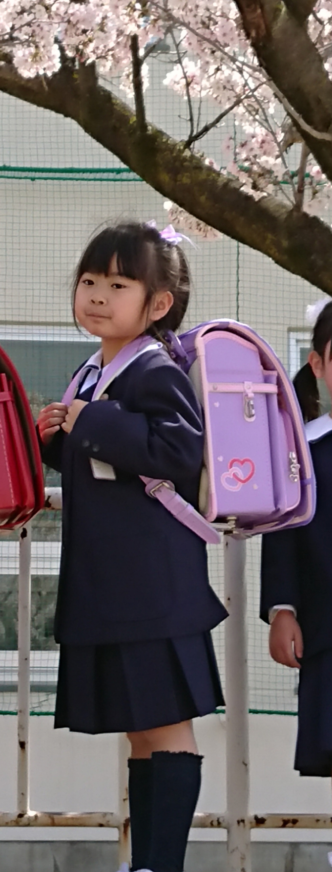 ランドセル  フィットちゃん  小学生 学校