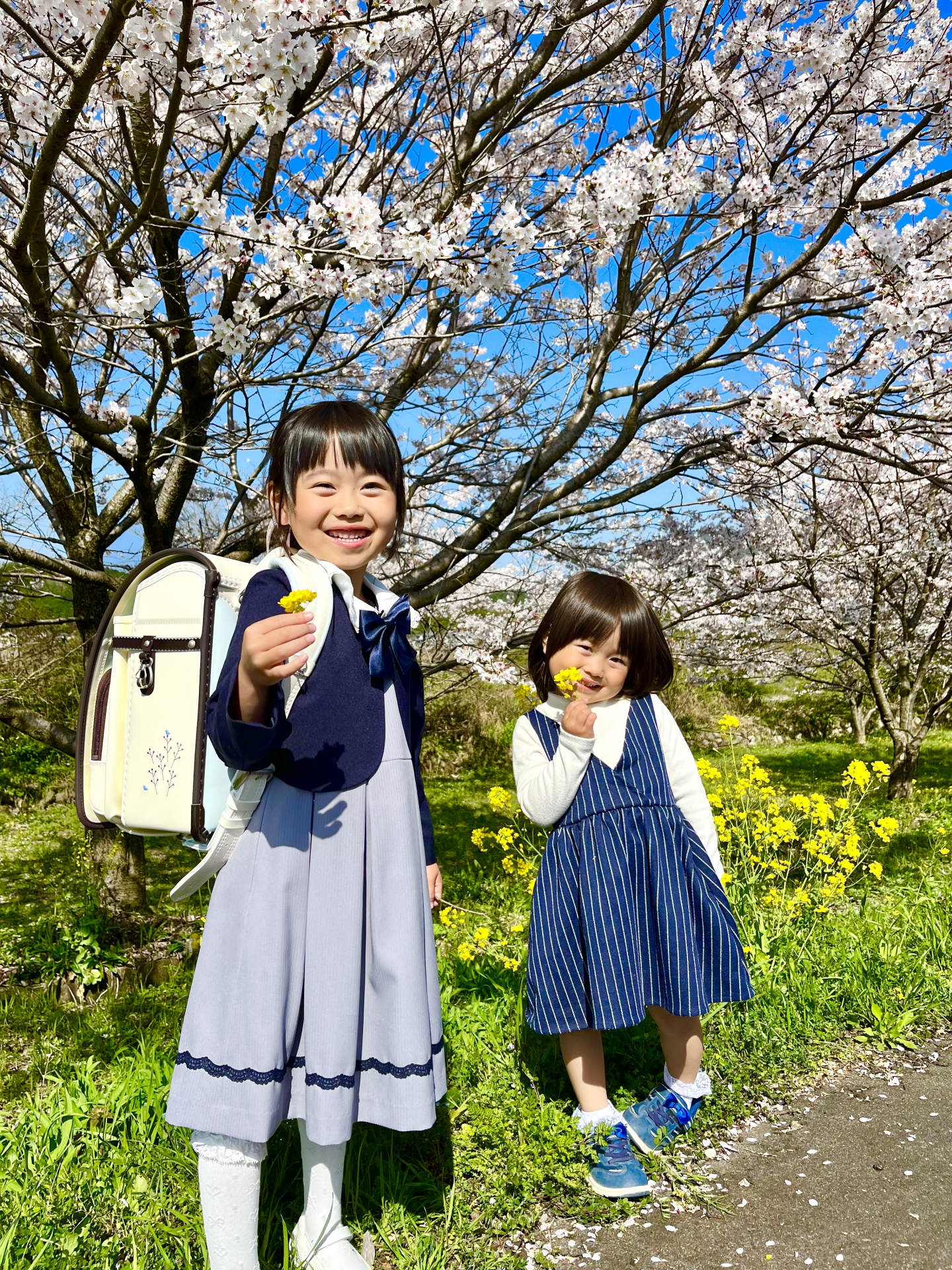 【値下げ】新品★フィットちゃん　ランドセル　チョコ