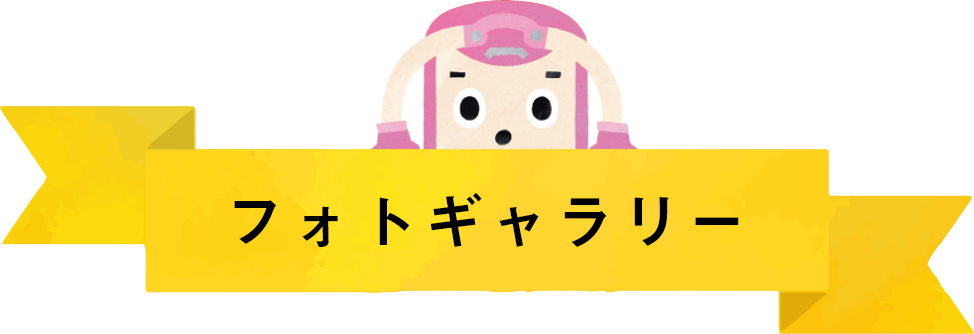 フォトギャラリー