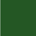 グリーン×グリーン(2024年2月20日までのお届け)